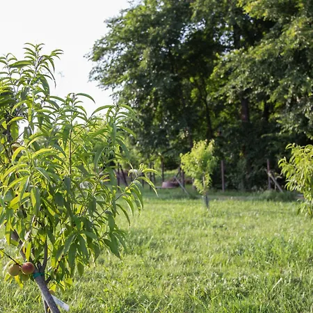 Il Filo Rosso 4* Abano Terme